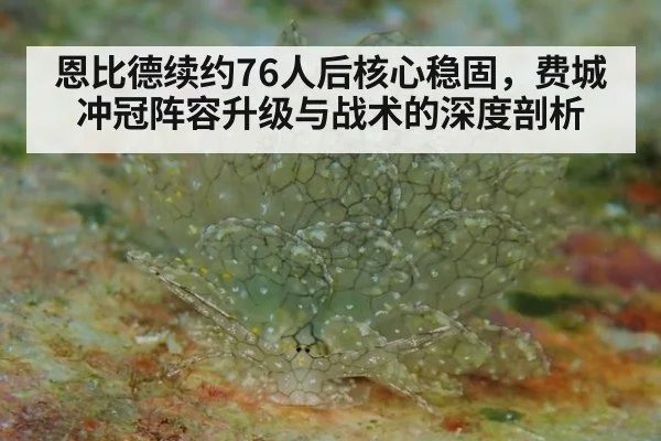 恩比德续约76人后核心稳固，费城冲冠阵容升级与战术的深度剖析