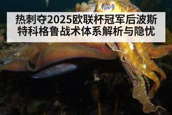 热刺夺2025欧联杯冠军后波斯特科格鲁战术体系解析与隐忧